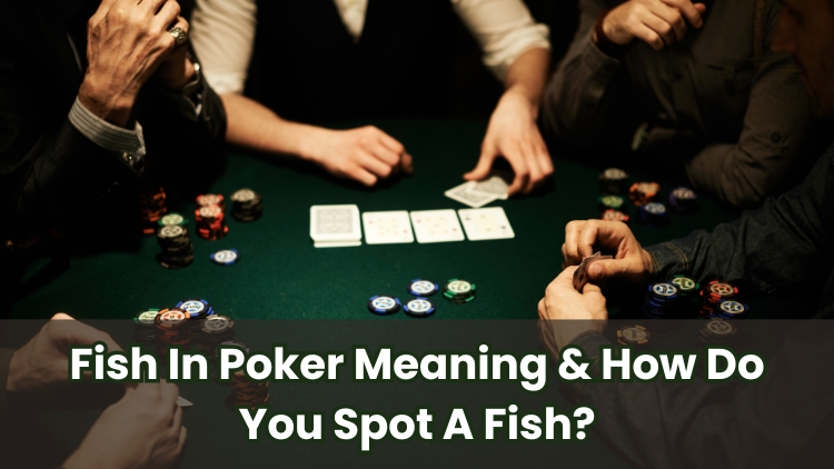 Fish In Poker Meaning & How Do You Spot A Fish?