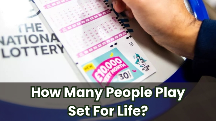 How Many People Play Set For Life?