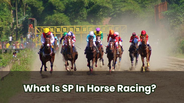 What Is SP In Horse Racing?