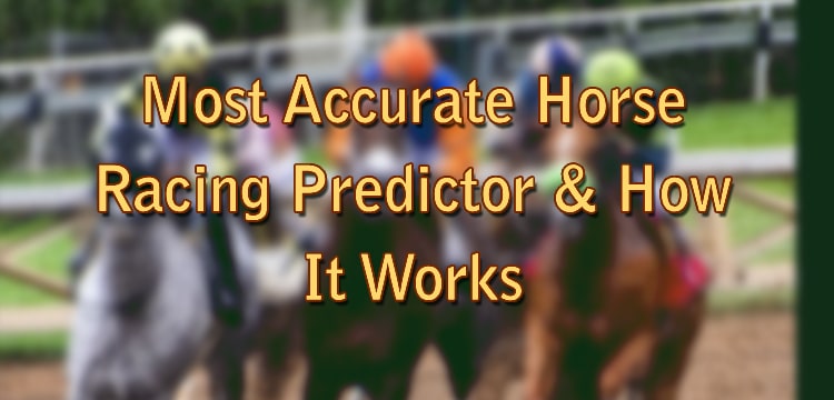 Most Accurate Horse Racing Predictor & How It Works