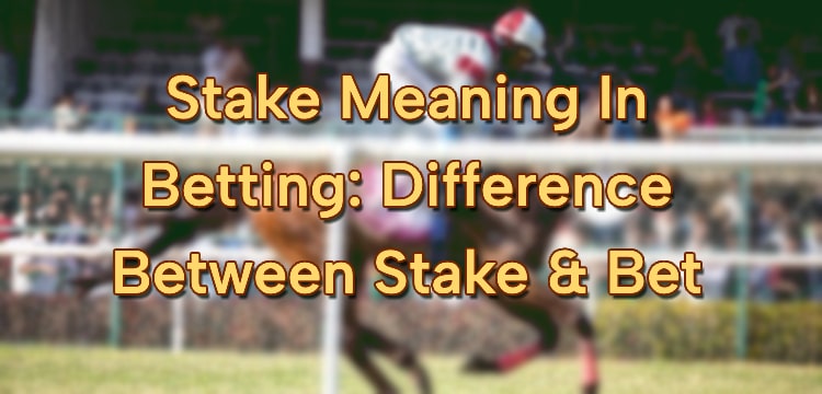 Stake Meaning In Betting: Difference Between Stake & Bet
